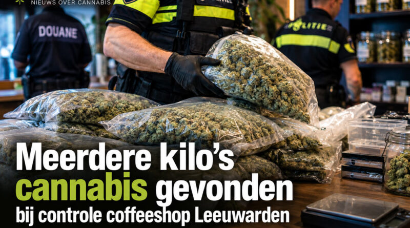 Coffeeshop Leeuwarden Kilos Cannabis
