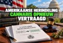 Amerikaanse cannabisherindeling vertraagd 2026